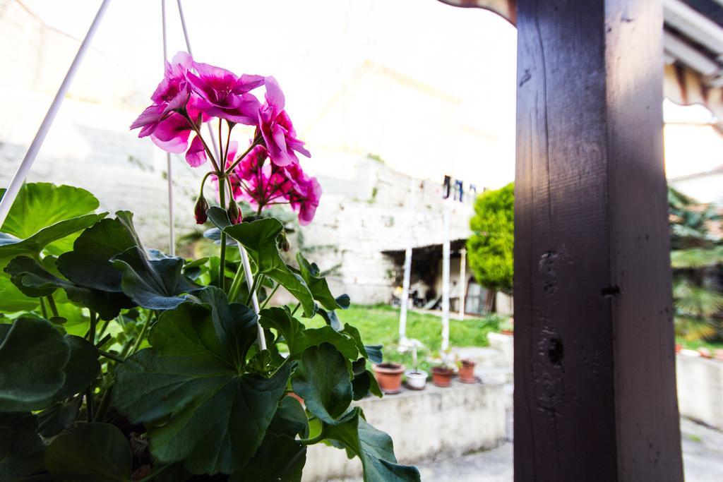 Guesthouse Natalija Pola Esterno foto